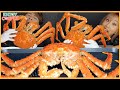 핵쫄깃끝판왕!!대왕킹크랩+내장딱지 비빔밥까지 올클리어먹방!! King crab &  crab shell bibimbap!! mukbang , eatingshow!