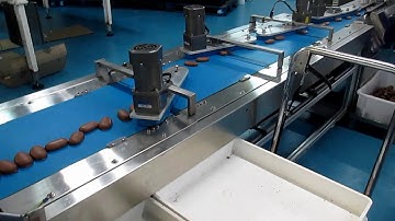 Aligner Feeder Flowpack,automated packaging of bars, automated chocolate packaging line