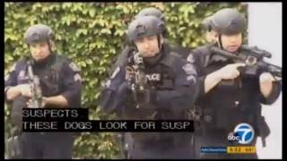 Los Angeles Airport Police ESU / K9 Training