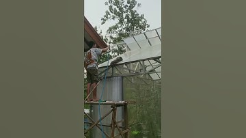 Thumbnail of Ngepel & Membersihkan Atap Greenhouse 🙈