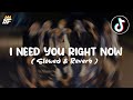 DJ I Need You Right Now X DROP JJ ( Slowed & Reverb )