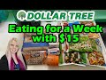 Eating for 15 a week from dollar tree  extreme budget meal plan