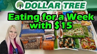 Eating for $15 a Week from Dollar Tree | Extreme Budget Meal Plan