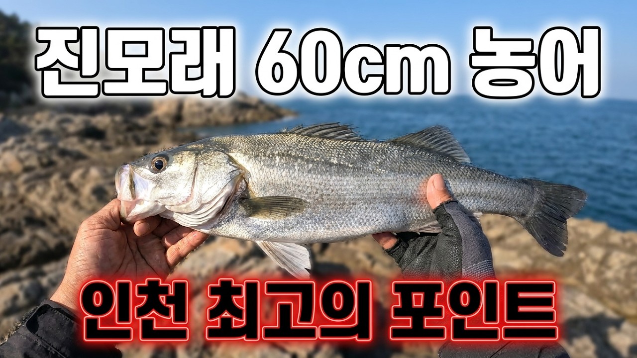 자월도 진모래해변  농어 낚시 다녀왔습니다~~! 농어포인트 공개~!