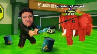 จากแมพขโมย สู่ แมพตกปลาเฉย ? | Roblox Steal a Brainrot