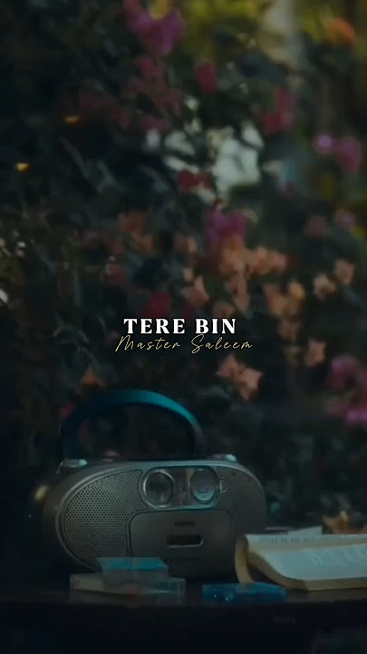 Tere Bin | Master Saleem | Lyrics WhatsApp status | Fullscreen Status | #trend #shorts