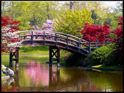 Vivaldi&#039;s Four Seasons - Spring (Part 1)