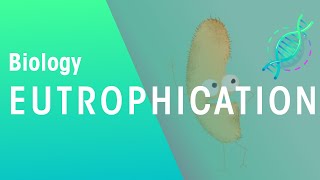 What Is Eutrophication | Agriculture | Biology | FuseSchool