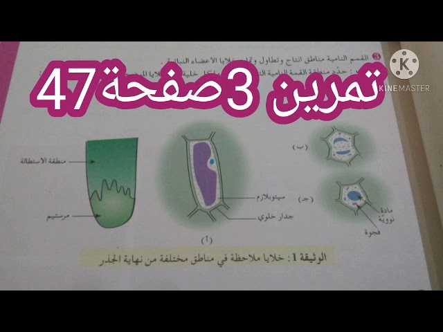 التحضير للفرض|حل التمرين 3صفحة 47 العلوم  للاولى ثانوي علوم وتكنولوجيا