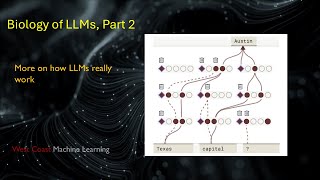 Celebrity Biology of LLMs - Part 2 Profile