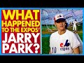 What happened to the montreal expos first home jarry park  jarry park expos stadium documentary