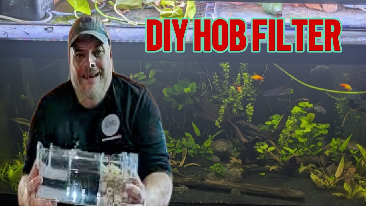 DIY HOB Filter out of a Breeding Box. So Easy So Inexpensive #diy #hob ...