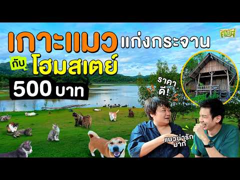 Cat Island in Thailand: A Homestay for Only 500 Baht a Night | So, Here’s the Deal