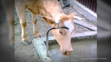 K čemu se používají palivové páry?