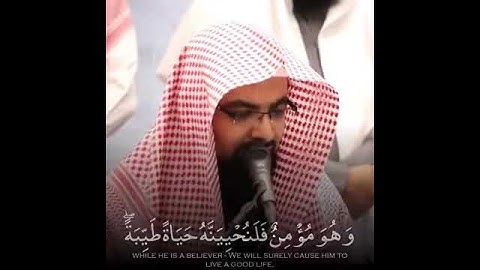 قراءة هادئه للقارئ ناصر القطامي _ حالات واتساب هادئه