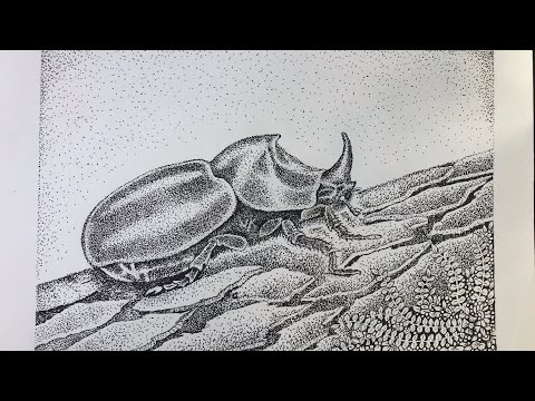 I wake up in the morning I see beetle and I draw it with my pointillism art
