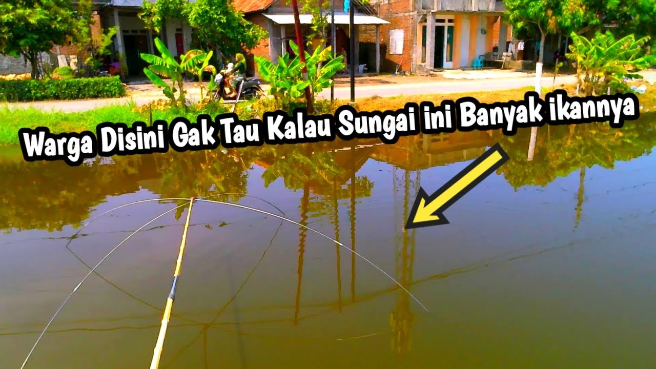 Parah‼️Spot Syahdu Begini Cuma Dilewati Doang❓Anco Ikan Ep.67 #netfishing #fishinglife