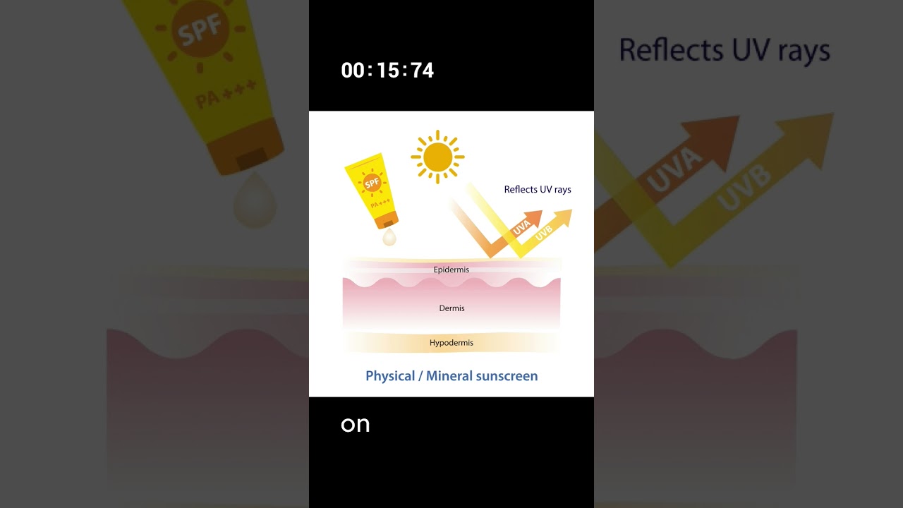 How do Sunscreen protect your skin from UV rays? 