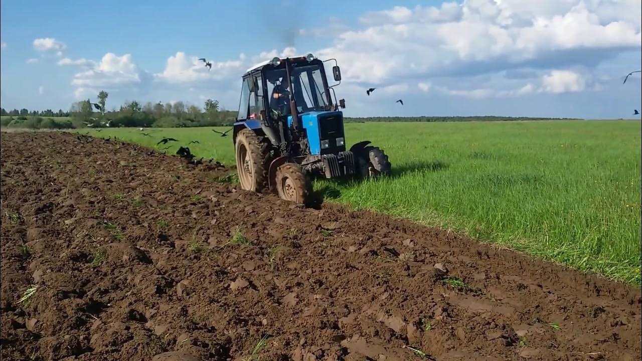 плуг 5+3 квернеланд. зяблевая вспашка. мтз 82 с плн 3 35. 1 с плугом. вспашка целины мтз 82.