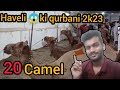 Eid special🥰 ||haveli ki qurbani 2023||janwar hi janwar |