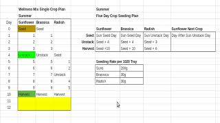 Summer Wellness Mix Five Day Microgreen Crop Plan
