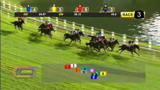 20170908 Singapore racing Race 3 -STEEL CUTTER is too good