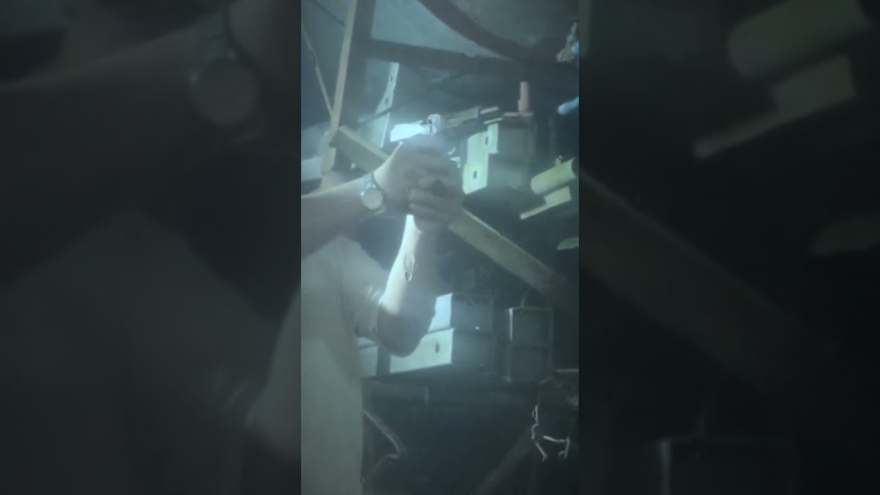 may be if we train to fight it would befine õvõ