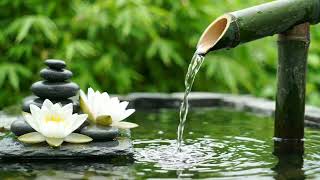 Soft Healing Piano + Bamboo Water Ambience Healing 24/7 自然の音とともに音楽をリラックス バンブーウォーターファウンテン【癒し音楽BGM】 screenshot 3
