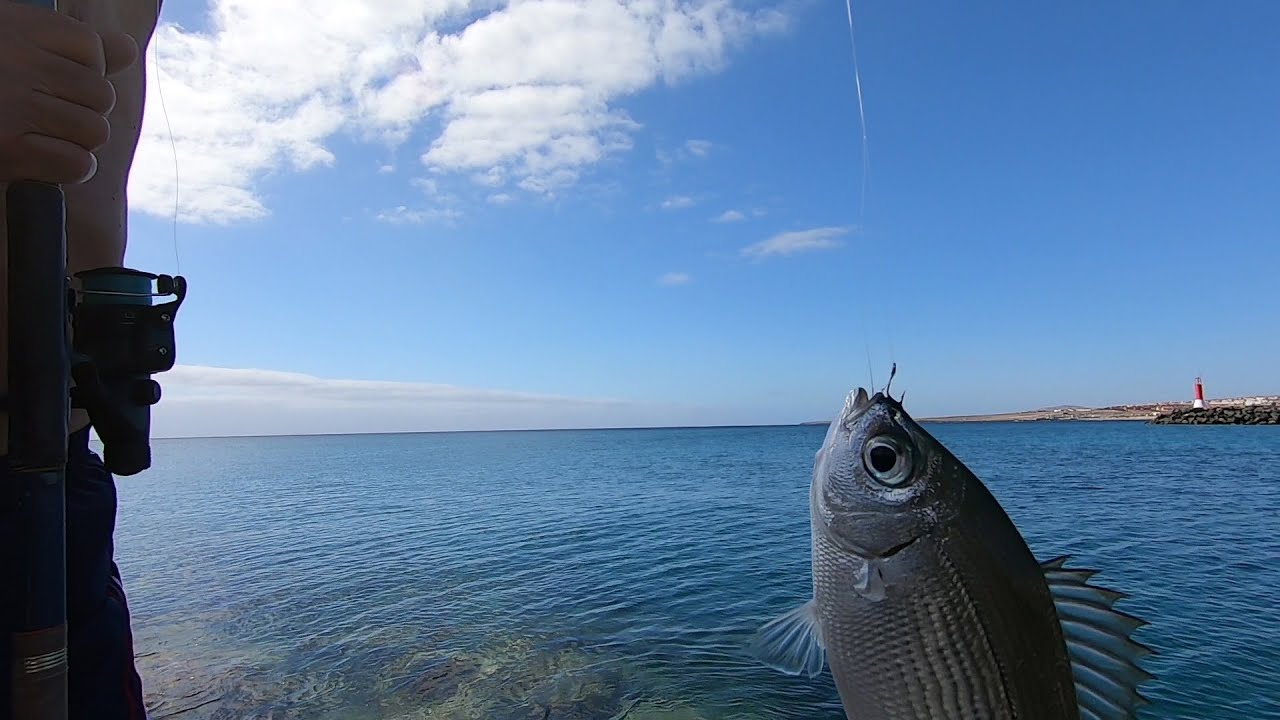 Pesca Con Il Pane In Acqua Dolce