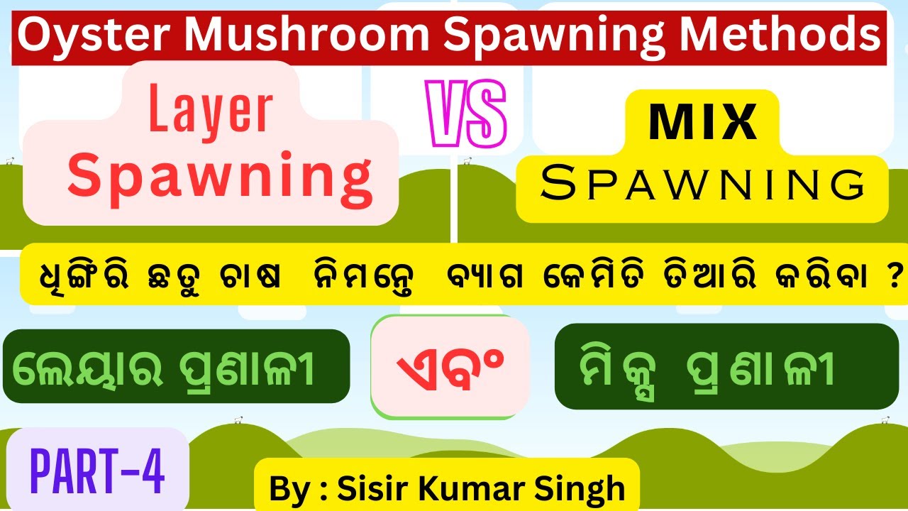 LAYER AND MIX SPAWNING PART 4 - YouTube