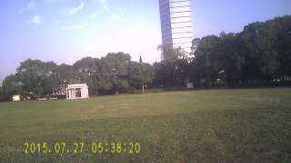 20150727 013 E Flite Whipit DLG ②~色々~