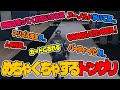 【ストグラ】割と自由にめちゃくちゃするドングリ【Ottiki】