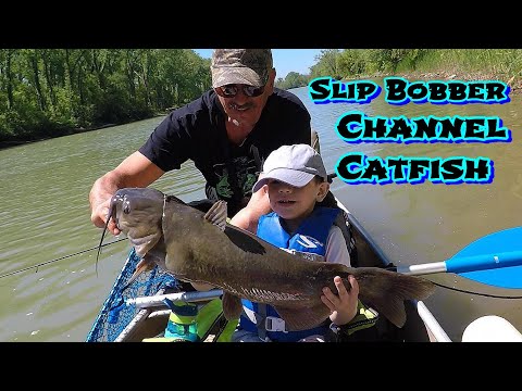 Huge Catfish - Tiny Fishing Pole