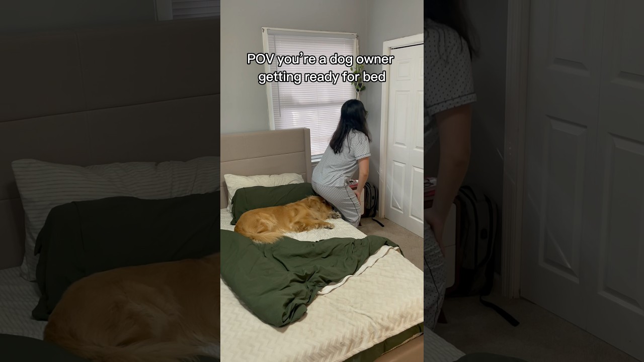 He was offended too😭 