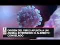 Improbable que coronavirus venga de un laboratorio chino: OMS