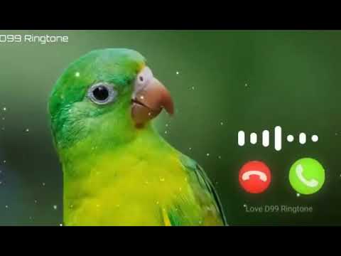 New ringtone 2022// punjabi ringtone//mp3 callertone//Best ringtone 2021