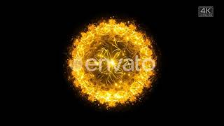 Golden Flower | Motion Graphics - Envato elements