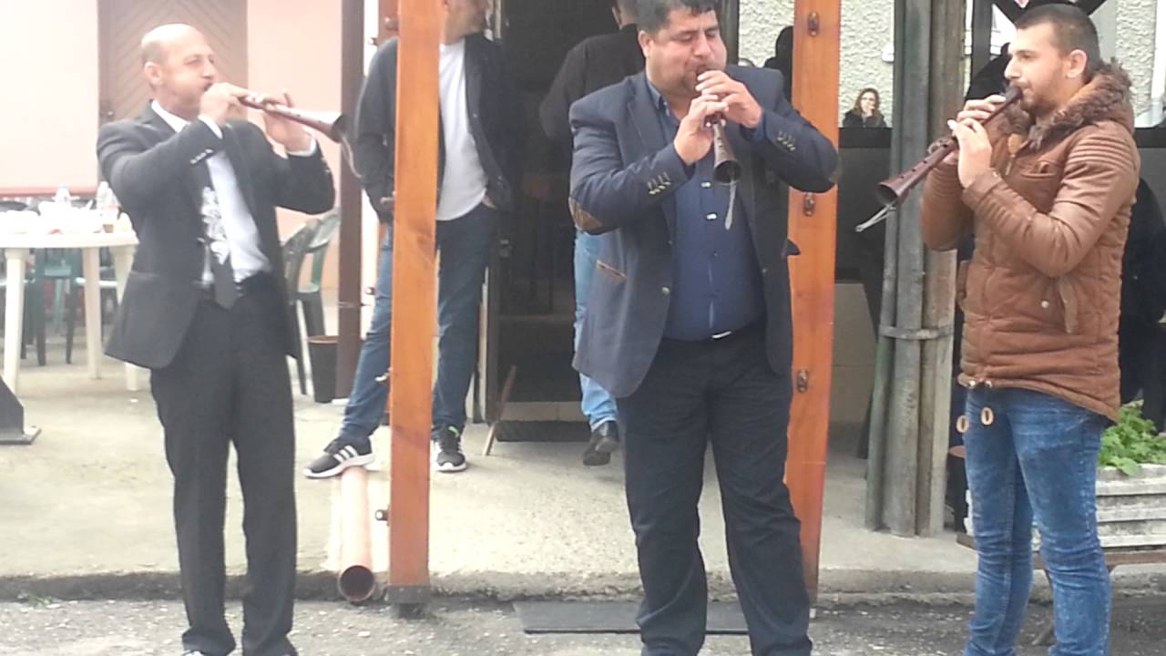 zurni Goshkata i Pifkata / Гошката и Пифката 2016 /