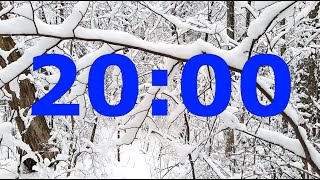 20 Minute Winter Timer with Delightful Music, Alarm and Cozy Winter Forest