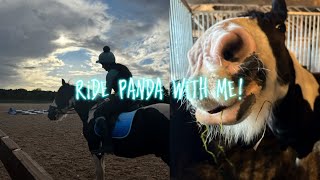 RIDE PANDA WITH ME!! 