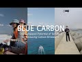 BLUE CARBON - The Untapped Potential of Seaweed in Reducing Carbon Emissions