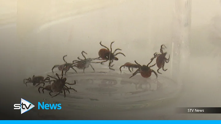 Research project aiming to understand ticks and tick-borne diseases