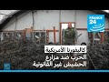 الحرب ضد مزارع الحشيش غير القانونية في كاليفورنا الأمريكية الحرب ضد مزارع الحشيش غير القانونية في كاليفورنا الأمريكية