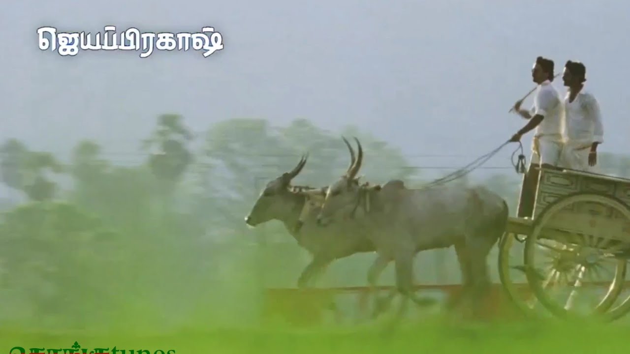 Kongu Nattu Thendralukum 1080pHD song