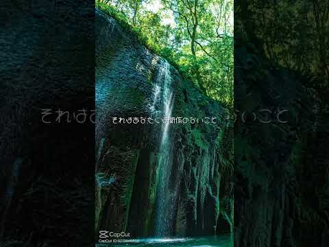５つの原則!