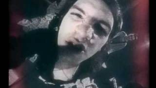 Rembrandt Haus Wystąpił W Lalamido W 1991 Roku