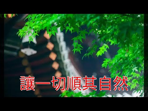 讓一切順其自然
