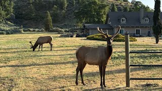 This Is Tehachapi - Bear Valley Springs
