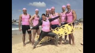 Information North Bondi SLSC Education 2015   2016 News