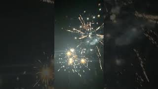 Sunshine State 20 Shots #fireworks #pyroaddicts #pyrotechnics #pyro